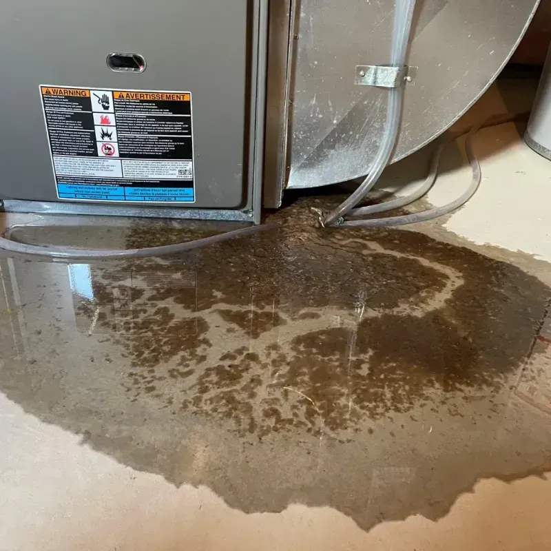 Appliance Leak Cleanup in Tierra Verde, FL